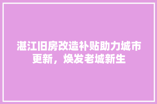 湛江旧房改造补贴助力城市更新，焕发老城新生