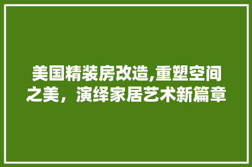 美国精装房改造,重塑空间之美，演绎家居艺术新篇章