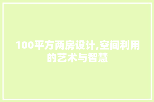 100平方两房设计,空间利用的艺术与智慧