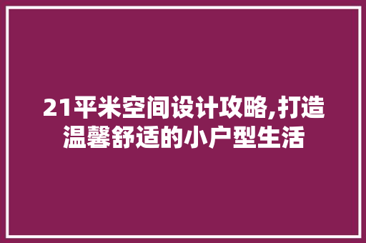 21平米空间设计攻略,打造温馨舒适的小户型生活