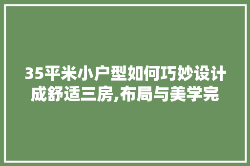 35平米小户型如何巧妙设计成舒适三房,布局与美学完美融合