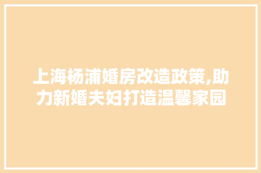 上海杨浦婚房改造政策,助力新婚夫妇打造温馨家园