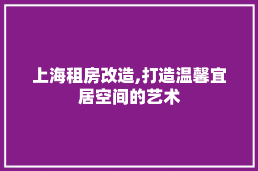 上海租房改造,打造温馨宜居空间的艺术