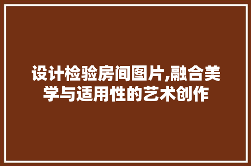 设计检验房间图片,融合美学与适用性的艺术创作