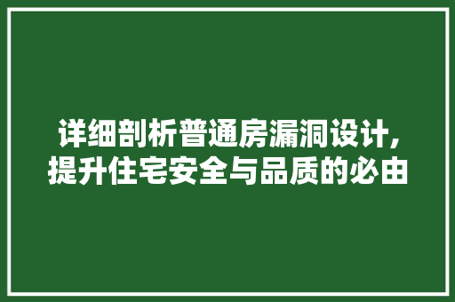 详细剖析普通房漏洞设计,提升住宅安全与品质的必由之路