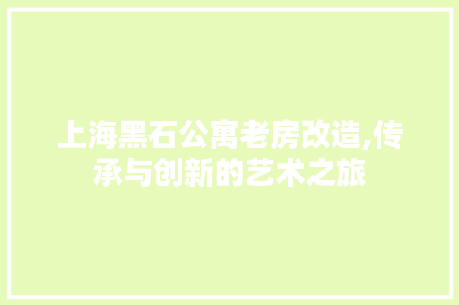 上海黑石公寓老房改造,传承与创新的艺术之旅