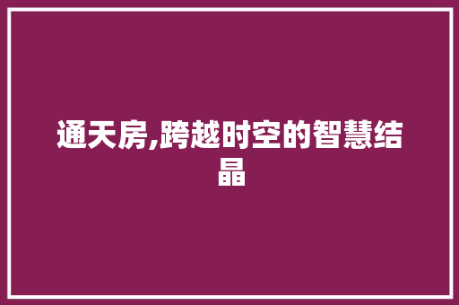 通天房,跨越时空的智慧结晶