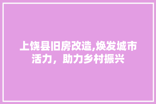上饶县旧房改造,焕发城市活力，助力乡村振兴