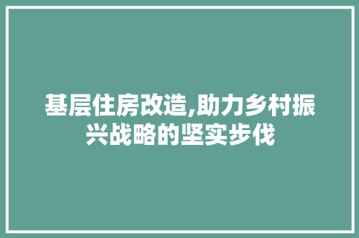 基层住房改造,助力乡村振兴战略的坚实步伐