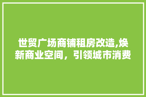 世贸广场商铺租房改造,焕新商业空间，引领城市消费潮流