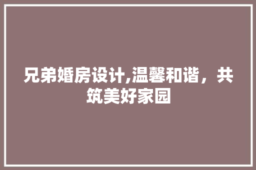 兄弟婚房设计,温馨和谐，共筑美好家园