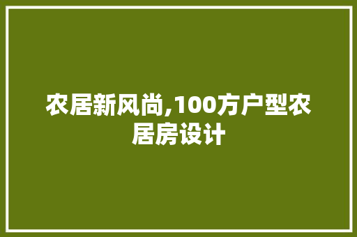 农居新风尚,100方户型农居房设计