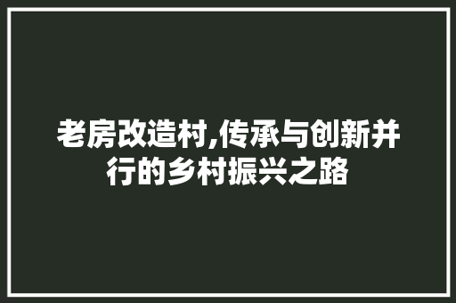 老房改造村,传承与创新并行的乡村振兴之路
