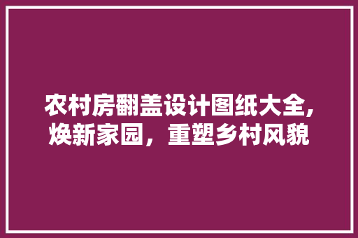 农村房翻盖设计图纸大全,焕新家园，重塑乡村风貌