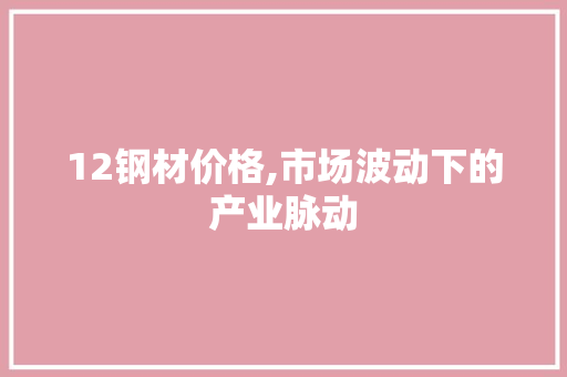 12钢材价格,市场波动下的产业脉动