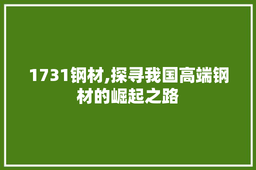 1731钢材,探寻我国高端钢材的崛起之路