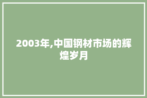 2003年,中国钢材市场的辉煌岁月