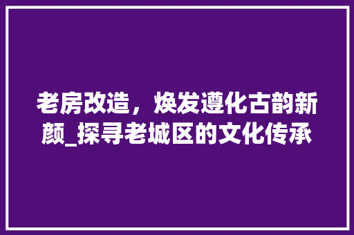老房改造，焕发遵化古韵新颜_探寻老城区的文化传承与创新之路