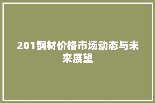 201钢材价格市场动态与未来展望