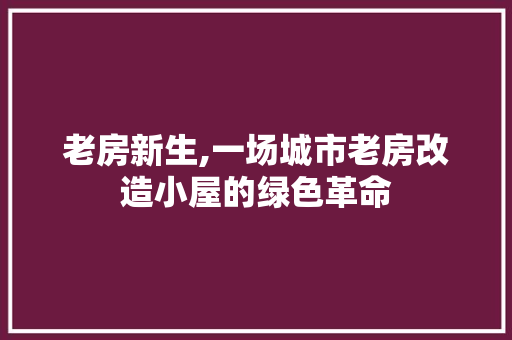 老房新生,一场城市老房改造小屋的绿色革命