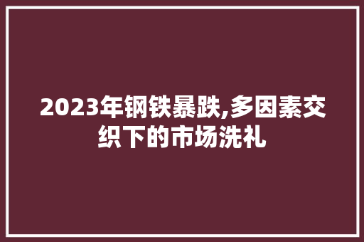 2023年钢铁暴跌,多因素交织下的市场洗礼
