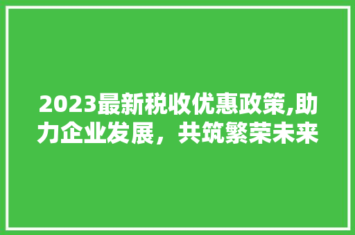 2023最新税收优惠政策,助力企业发展，共筑繁荣未来