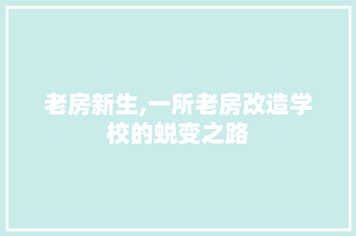老房新生,一所老房改造学校的蜕变之路