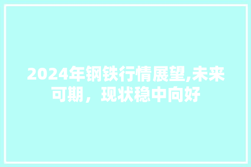 2024年钢铁行情展望,未来可期，现状稳中向好