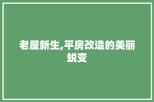 老屋新生,平房改造的美丽蜕变
