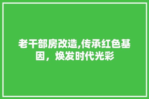老干部房改造,传承红色基因，焕发时代光彩