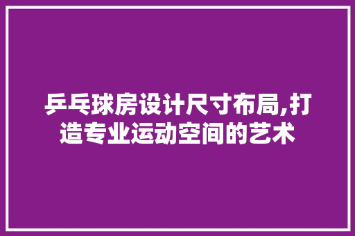 乒乓球房设计尺寸布局,打造专业运动空间的艺术