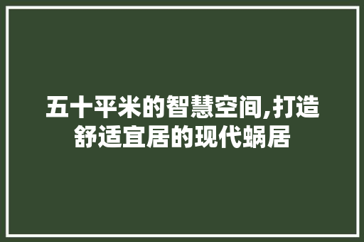 五十平米的智慧空间,打造舒适宜居的现代蜗居
