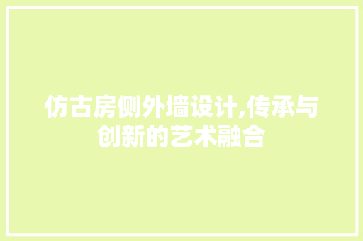 仿古房侧外墙设计,传承与创新的艺术融合