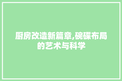 厨房改造新篇章,碗碟布局的艺术与科学