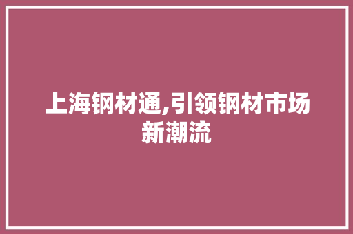 上海钢材通,引领钢材市场新潮流