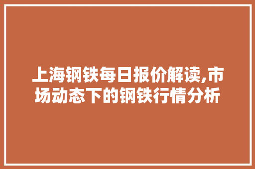 上海钢铁每日报价解读,市场动态下的钢铁行情分析
