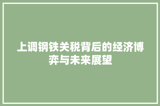 上调钢铁关税背后的经济博弈与未来展望