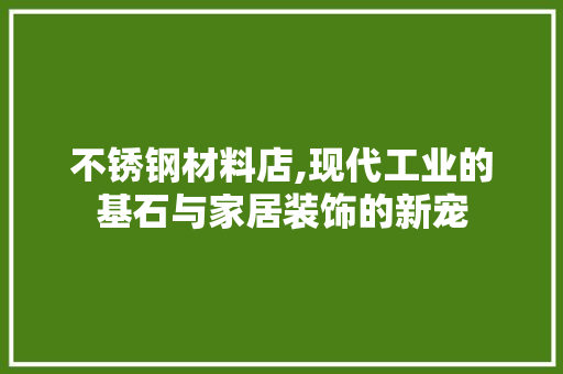 不锈钢材料店,现代工业的基石与家居装饰的新宠