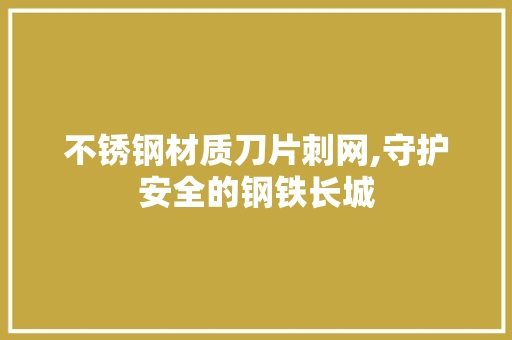 不锈钢材质刀片刺网,守护安全的钢铁长城