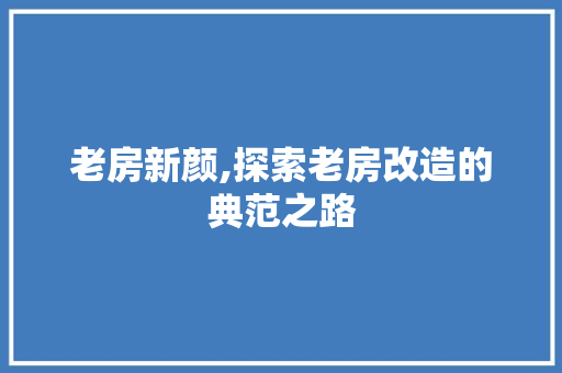 老房新颜,探索老房改造的典范之路