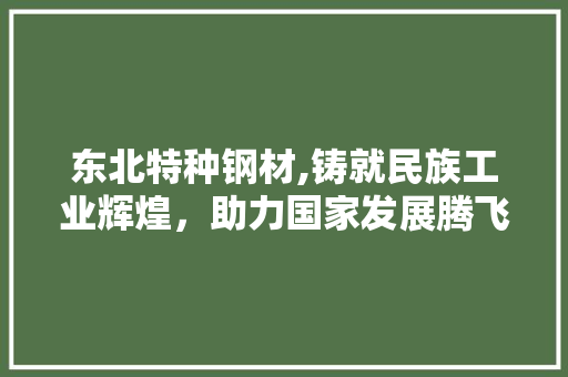 东北特种钢材,铸就民族工业辉煌，助力国家发展腾飞