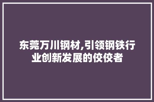 东莞万川钢材,引领钢铁行业创新发展的佼佼者
