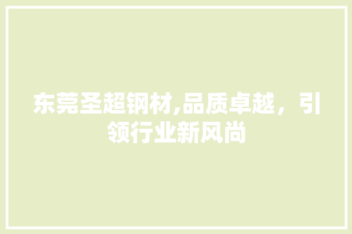 东莞圣超钢材,品质卓越，引领行业新风尚