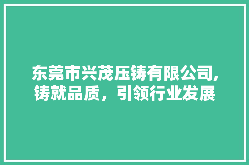 东莞市兴茂压铸有限公司,铸就品质，引领行业发展