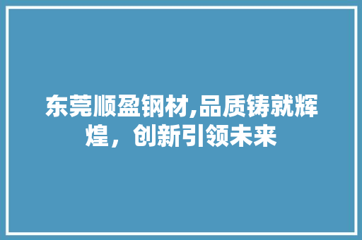 东莞顺盈钢材,品质铸就辉煌，创新引领未来