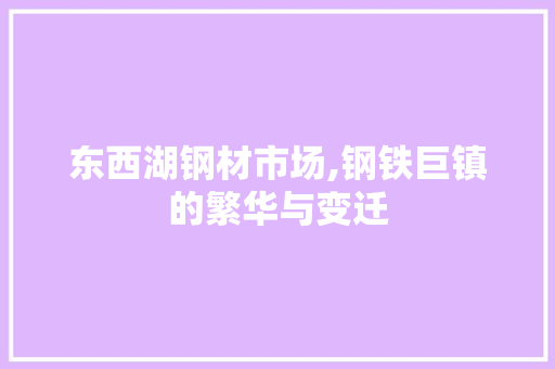 东西湖钢材市场,钢铁巨镇的繁华与变迁