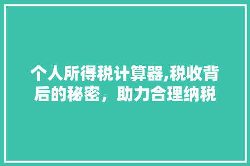 个人所得税计算器,税收背后的秘密，助力合理纳税