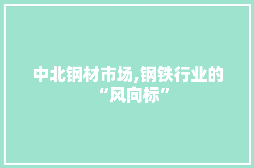 中北钢材市场,钢铁行业的“风向标”