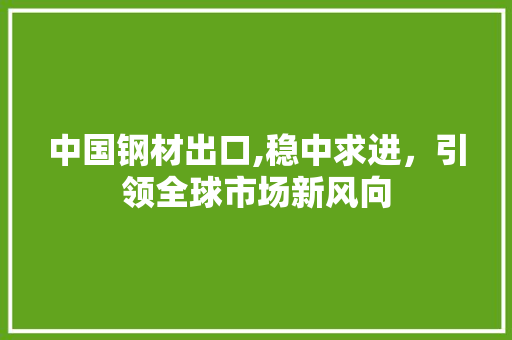 中国钢材出口,稳中求进，引领全球市场新风向