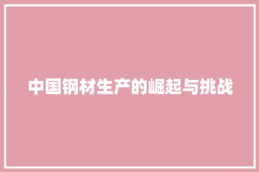 中国钢材生产的崛起与挑战
